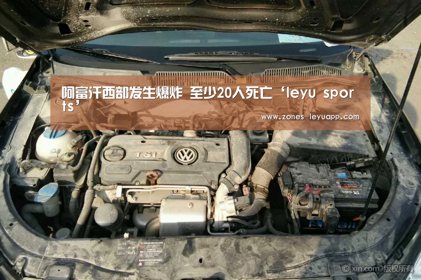 登录入口