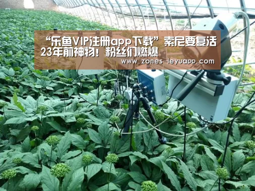 “乐鱼VIP注册app下载”索尼要复活23年前神物!粉丝们燃爆(图4) 乐鱼体育